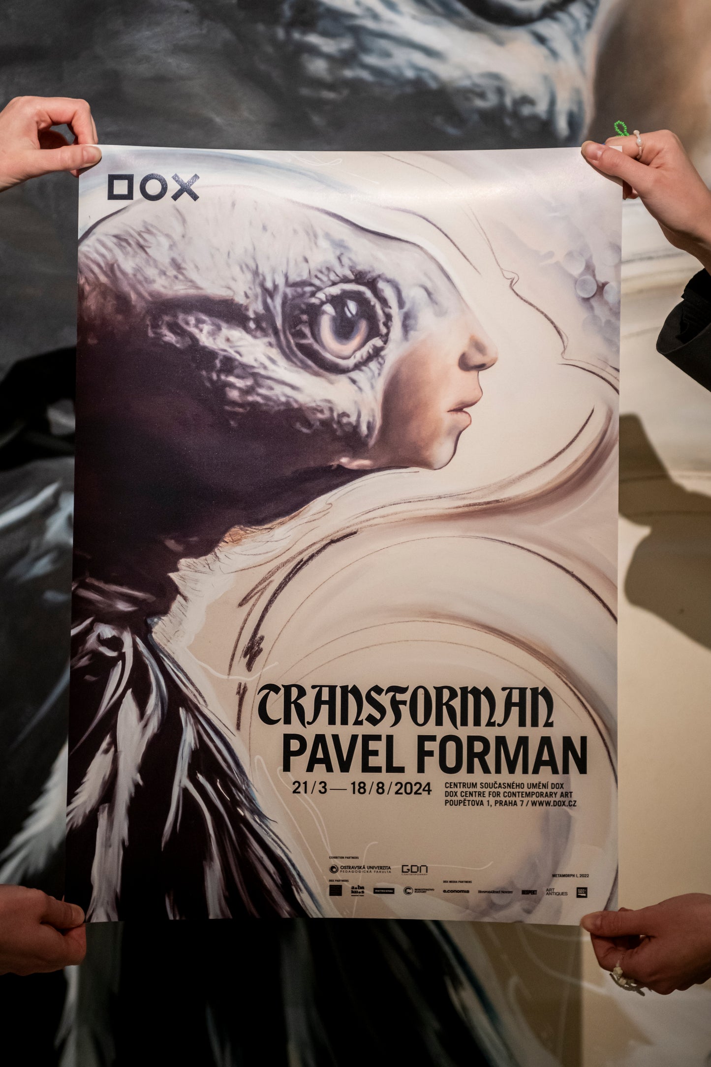 Plakát Pavel Forman – TransForman