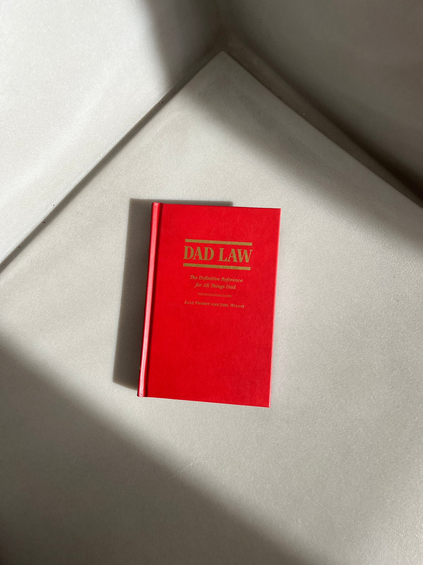 Dad Law: The Definitive Reference for All Things Dad