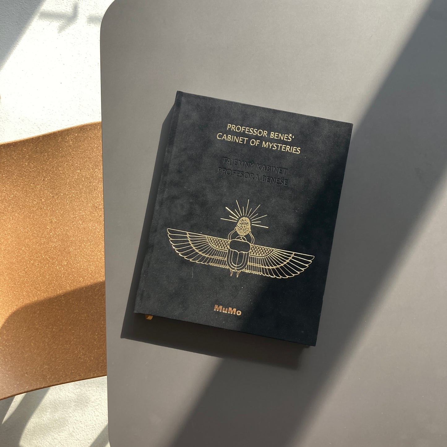 Professor Beneš's mysterious cabinet