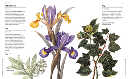 Flowers and their Meanings: The Secret Language and History of Over 600 Blooms