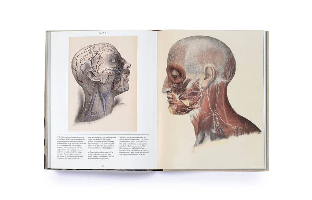 Anatomica: The Exquisite & Unsettling Art of Human Anatomy