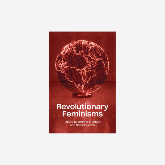 Revolutionary Feminisms: Conversations on Collective Action and Radical Thought