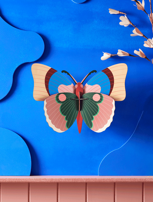 Studio ROOF – Nástěnná dekorace Cepora Butterfly / motýl cepora