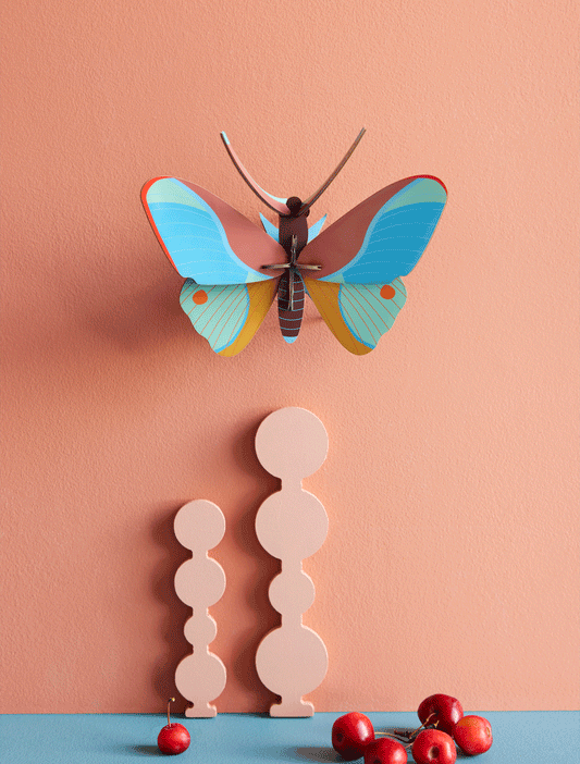 Studio ROOF – Wall decoration Claudina Butterfly / butterfly agrias claudina