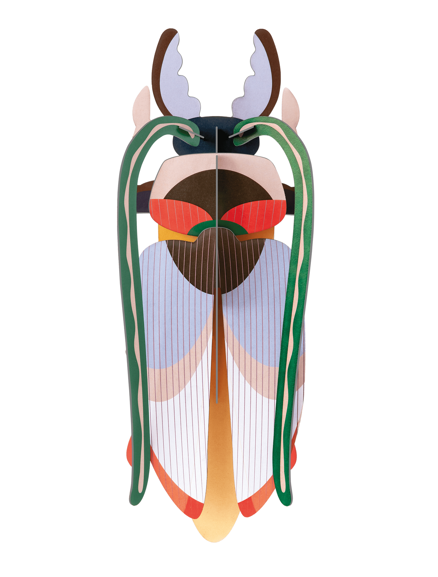 Cosmos Beetle
