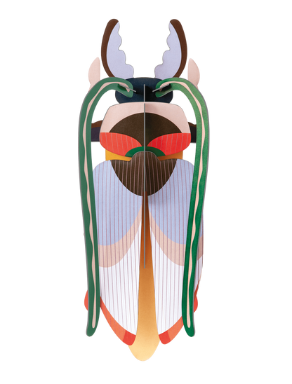 Cosmos Beetle
