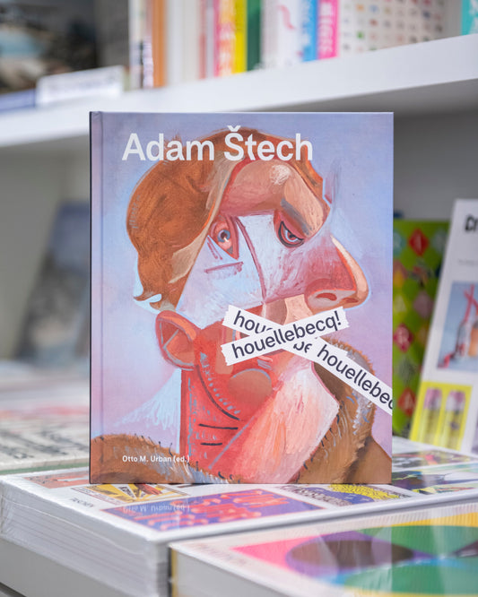 Adam Štech: houellebecq!