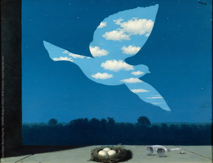 IZIPIZI sluneční brýle – limitovaná edice Magritte, mraky / clouds