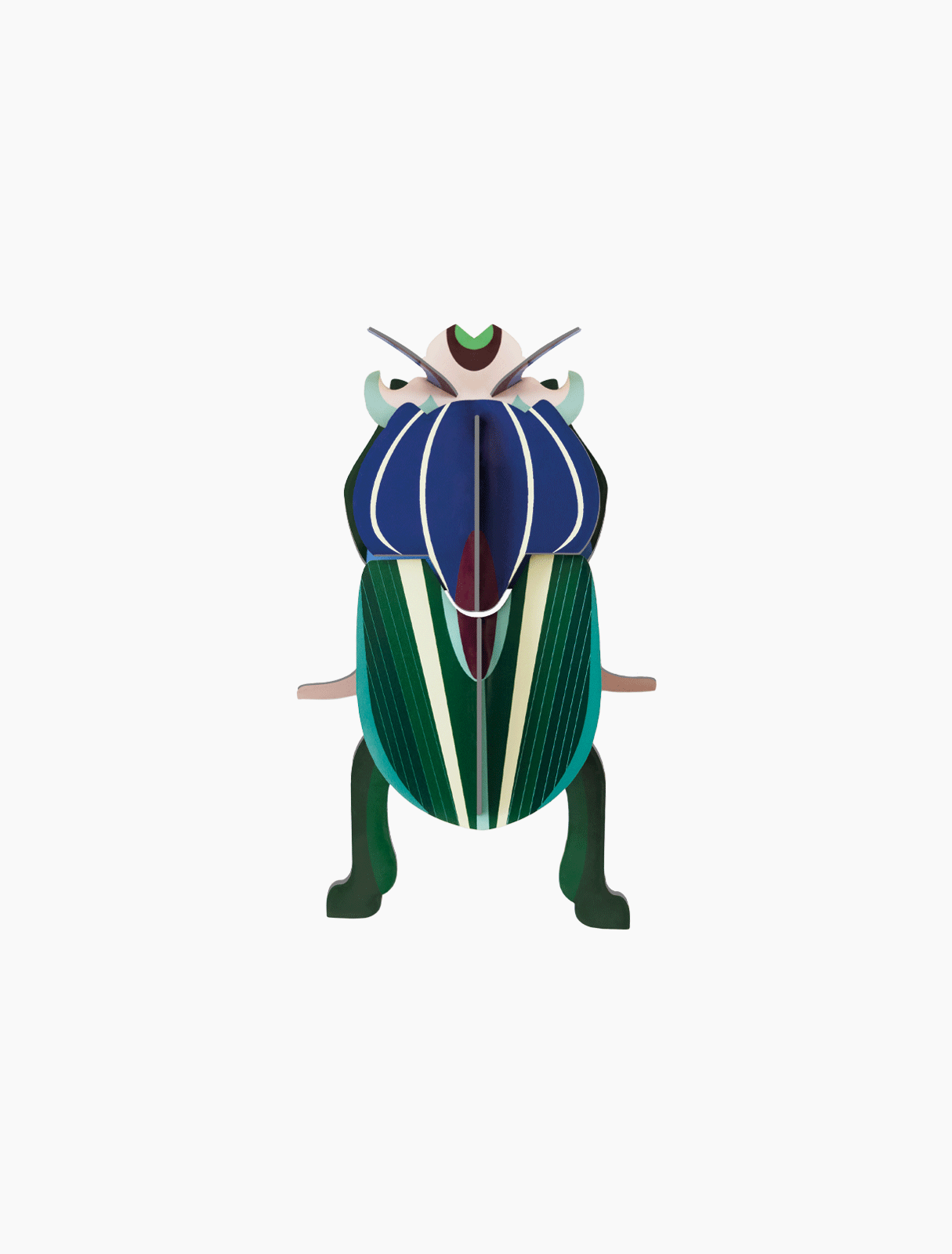 Studio ROOF – Nástěnná dekorace Mimela Scarab Beetle / brouk zlatohlávek