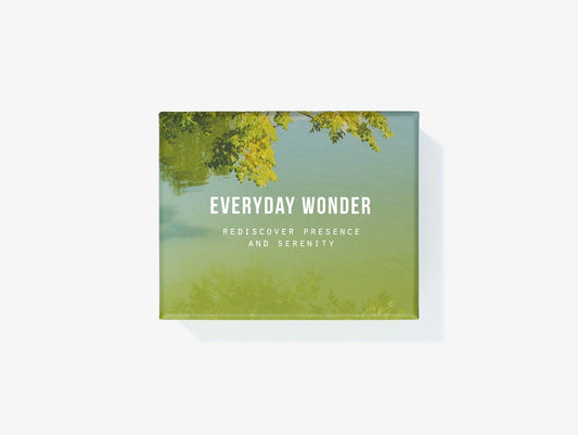 Everyday Wonder / The School of Life