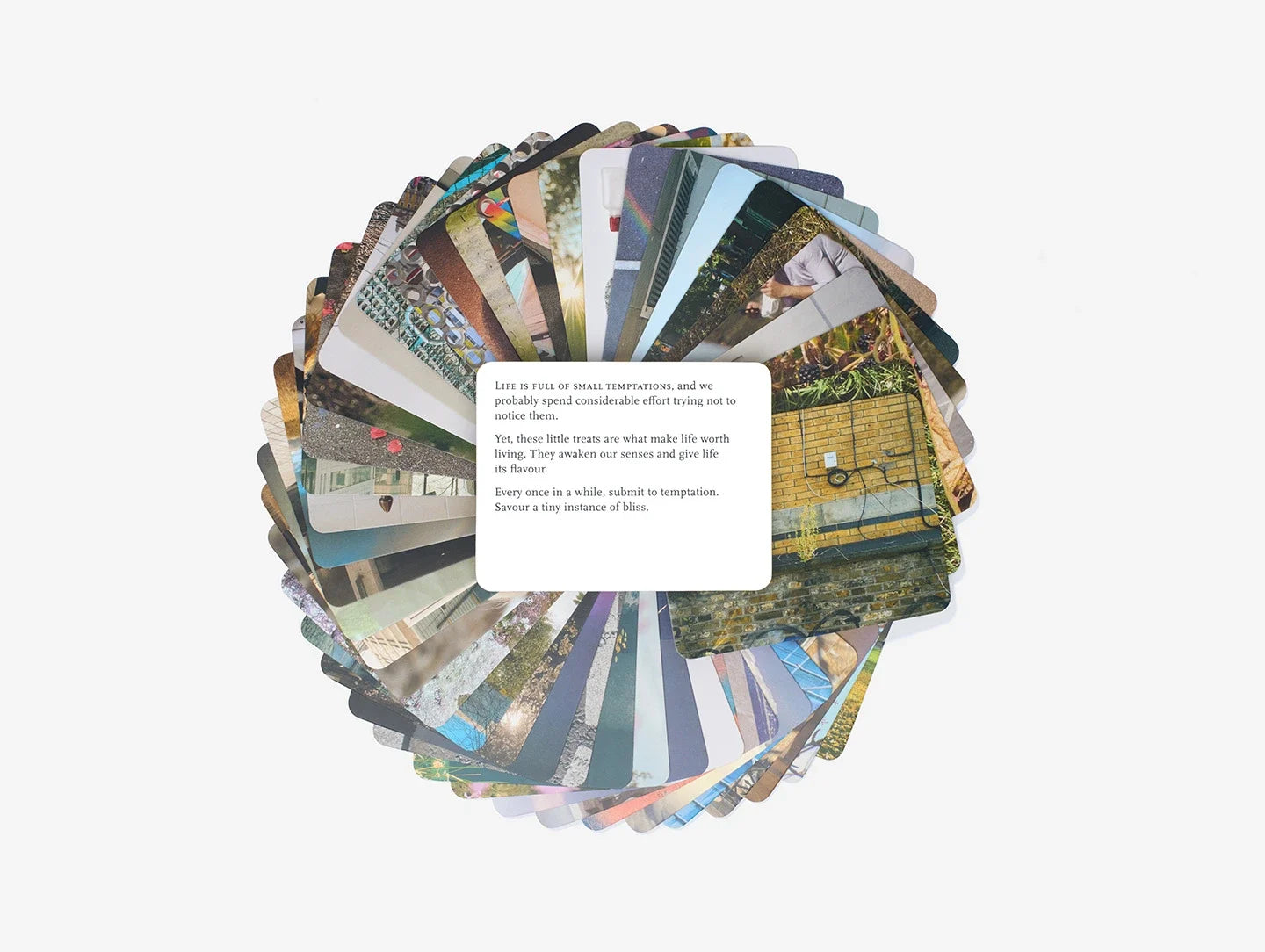 Everyday Wonder / The School of Life