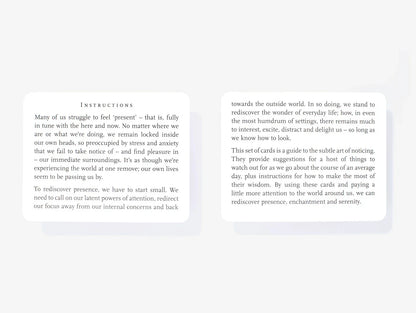 Everyday Wonder / The School of Life