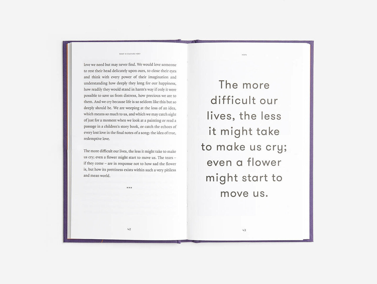 What Is Culture For?