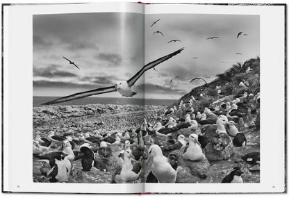 Sebastião Salgado. Genesis