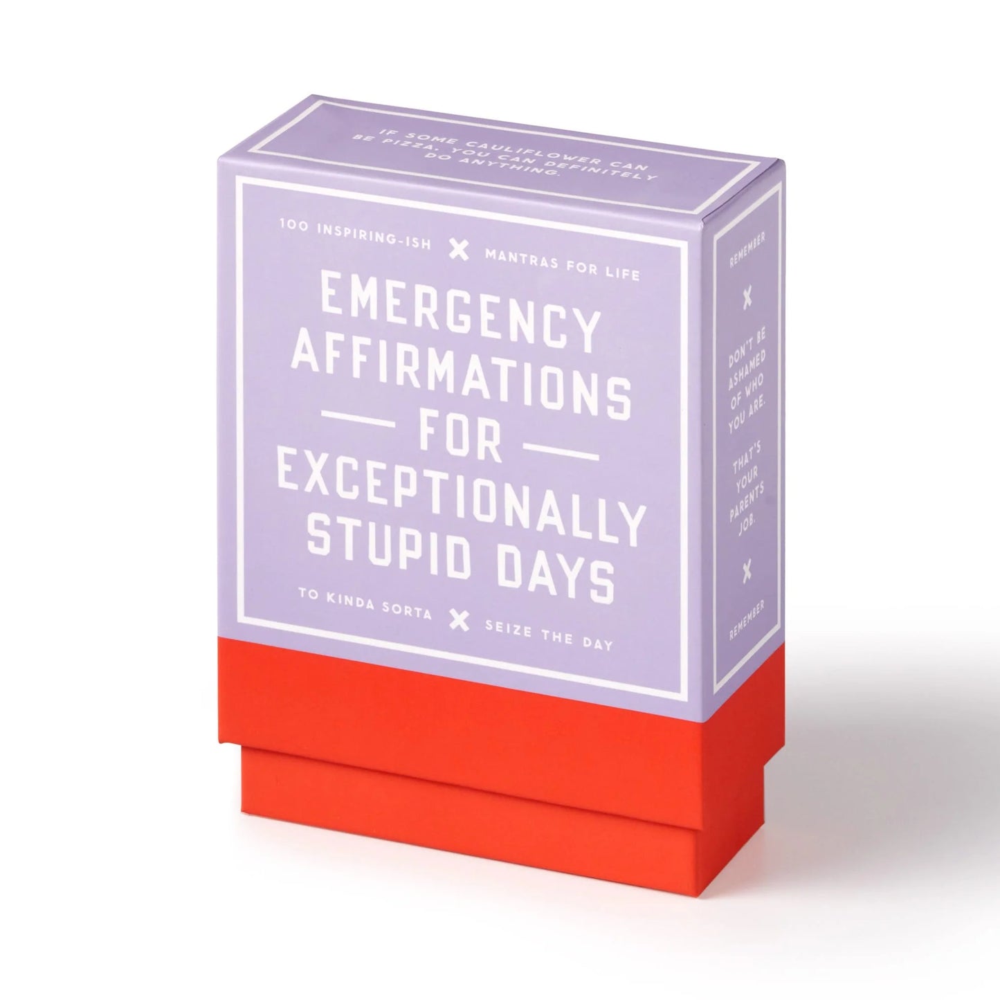 Emergency Affirmations for Exceptionally Stupid Days – Card Deck