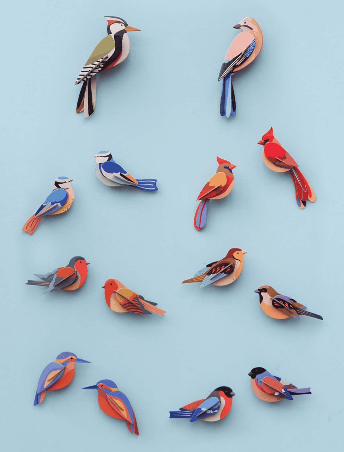 Finches / Studio ROOF