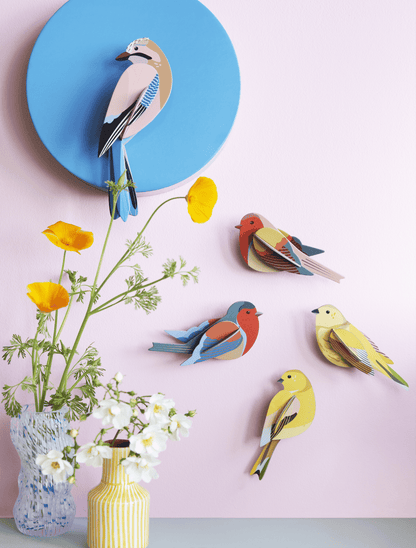 Nástěnná dekorace Citrinella Pair / strnadi