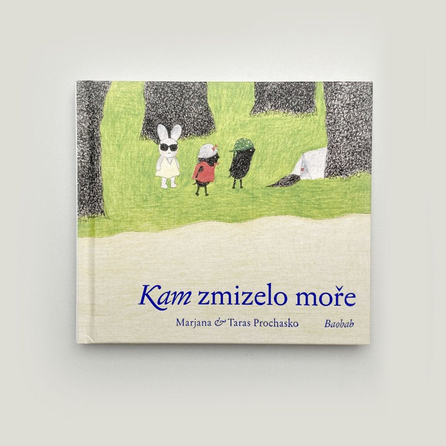 Kam zmizelo moře