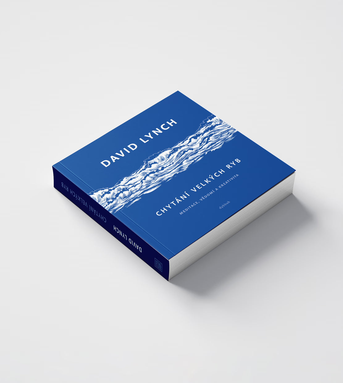 David Lynch: Chytání velkých ryb – meditace, vědomí a kreativita