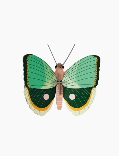 Závěsná papírová dekorace na zeď zelený tropický motýl s proužky od značky Studio ROOF