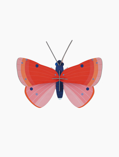 Studio ROOF – Nástěnná dekorace Speckled Copper Butterfly / ohniváček