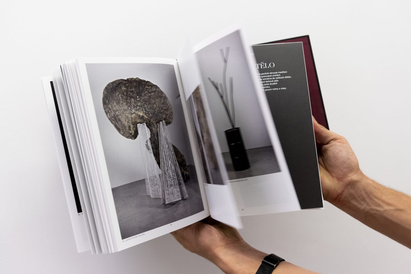 Katalog k výstavě Vanitas | DOX | Knihkupectví Bendox