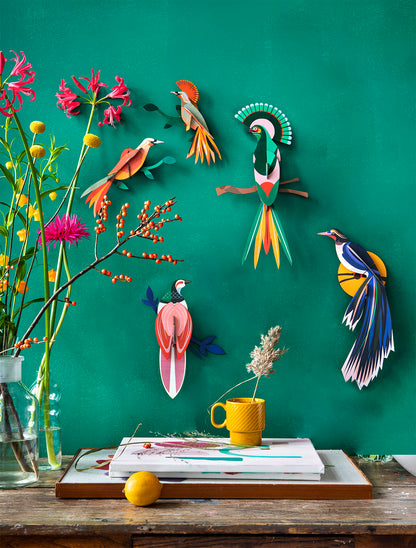 Studio ROOF – Nástěnná dekorace Paradise Bird Rani / rajský pták