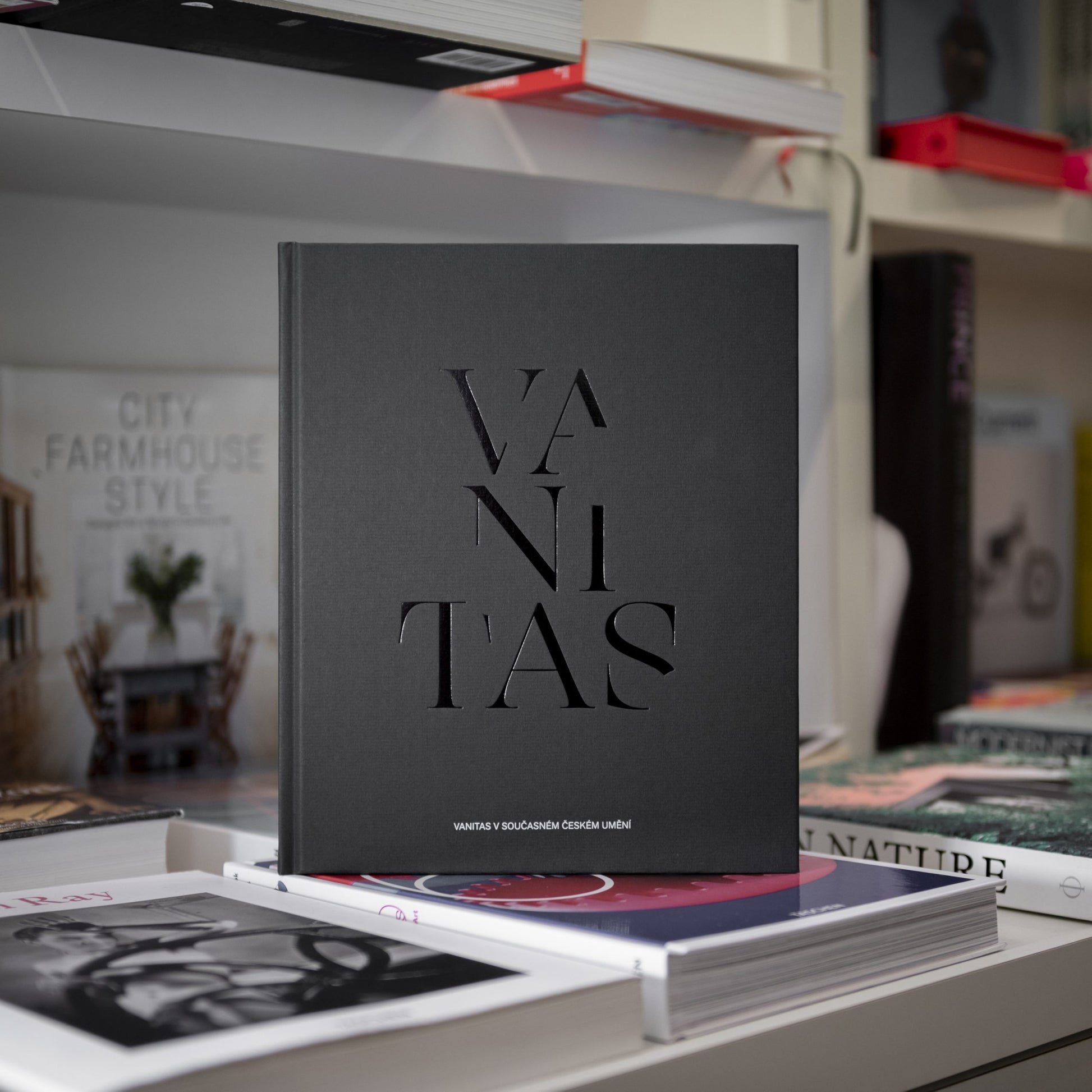 Katalog k výstavě Vanitas | DOX | Knihkupectví Bendox